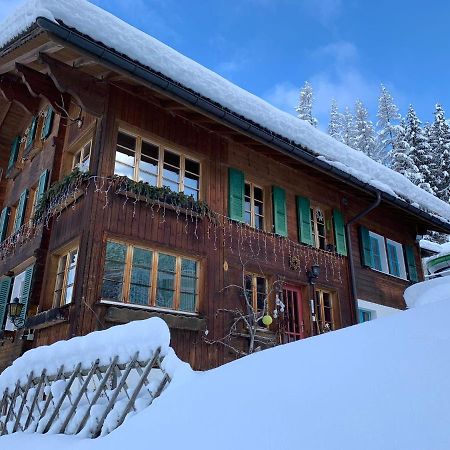 Chalet Schiltwald Innerヴェンゲン エクステリア 写真