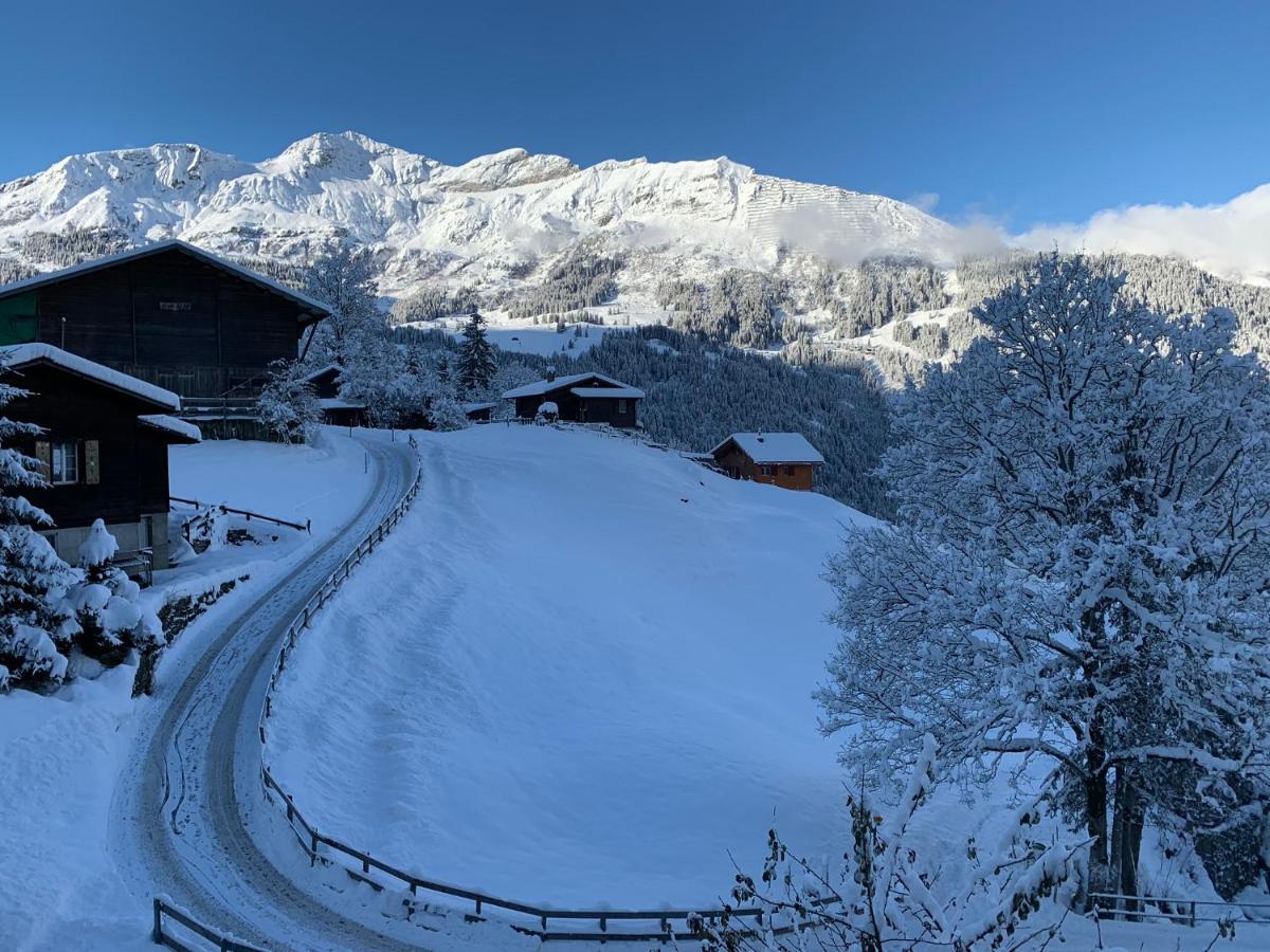 Chalet Schiltwald Innerヴェンゲン エクステリア 写真