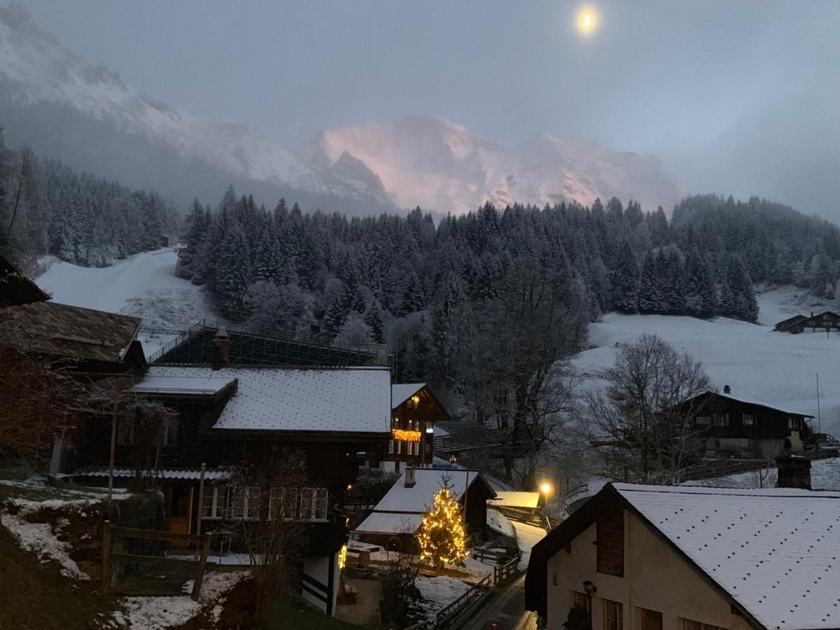 Chalet Schiltwald Innerヴェンゲン エクステリア 写真