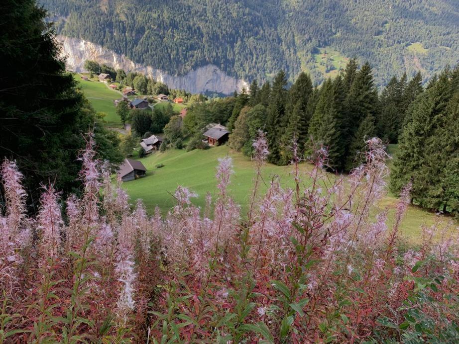Chalet Schiltwald Innerヴェンゲン エクステリア 写真