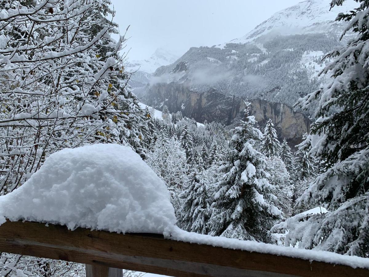 Chalet Schiltwald Innerヴェンゲン エクステリア 写真