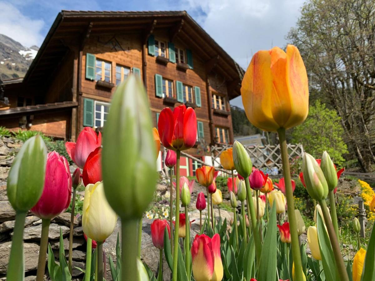 Chalet Schiltwald Innerヴェンゲン エクステリア 写真